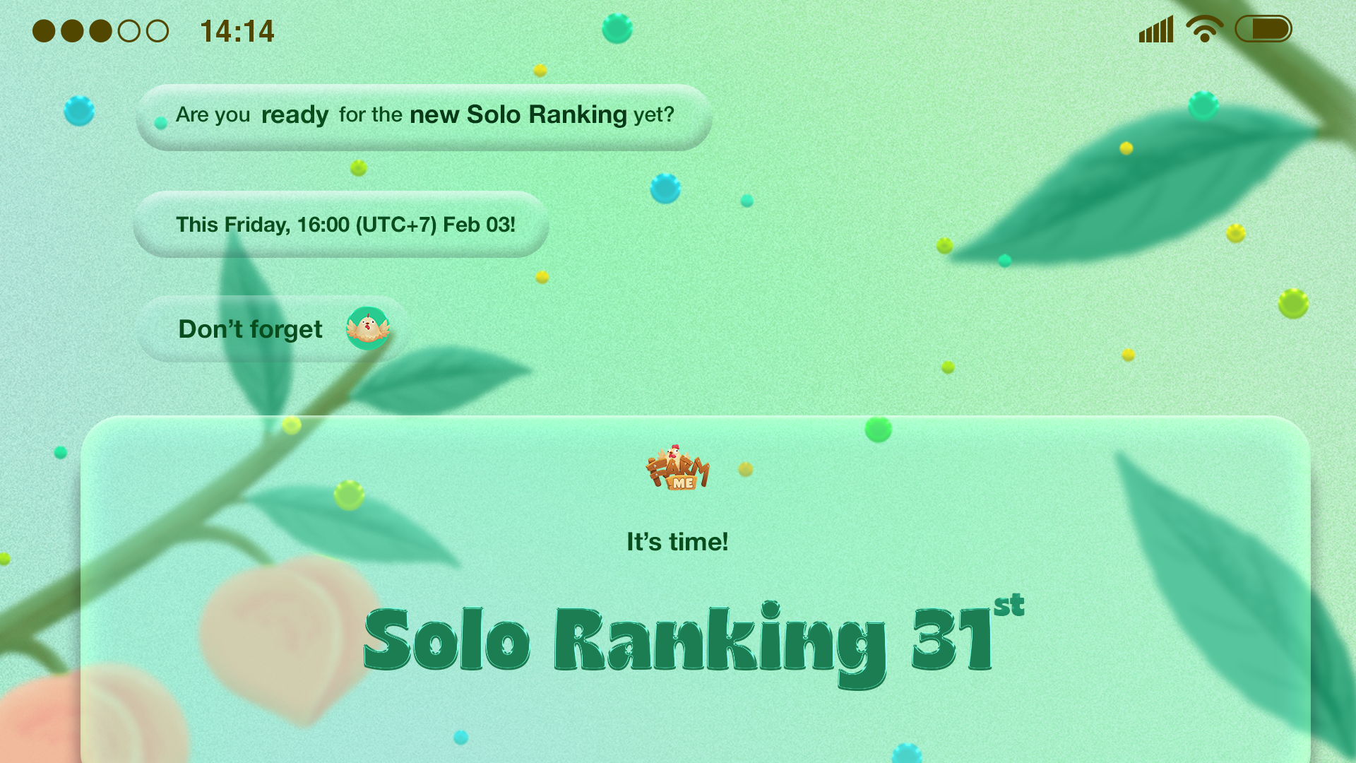SOLO RANKING - Detailed information of 31th Solo Ranking